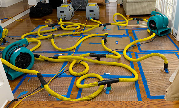 Professional Storm Water Damage Restoration technician working in Elwell, MI